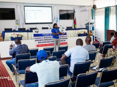 Ateliers De Formation Des Jeunes Entrepreneurs Aux Opportunités Commerciales Et Au Développement Economique Entre Les Etats-Unis Et La République Centrafricaine