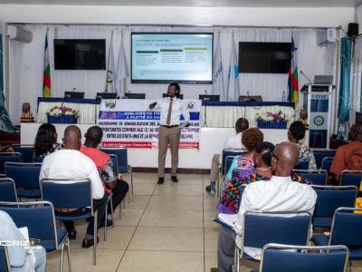 Ateliers De Formation Des Jeunes Entrepreneurs Aux Opportunités Commerciales Et Au Développement Economique Entre Les Etats-Unis Et La République Centrafricaine